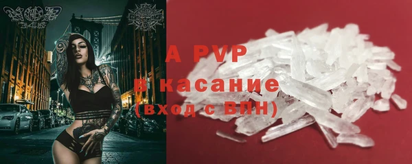 спайс Бородино