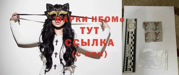 спайс Бородино