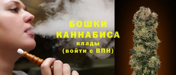 ПСИЛОЦИБИНОВЫЕ ГРИБЫ Бронницы