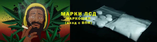 спайс Бородино