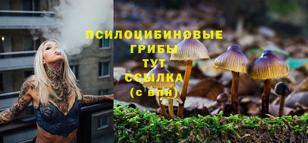 твердый Бугульма