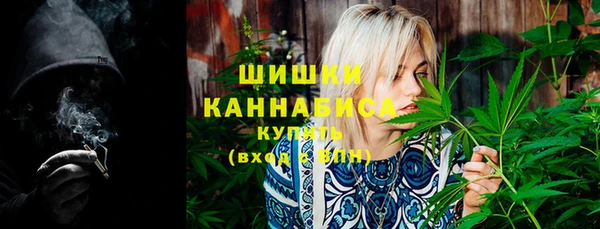 спайс Бородино