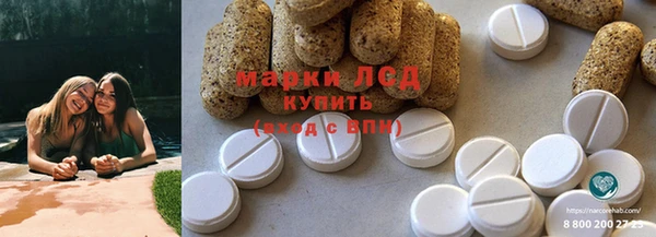 ПСИЛОЦИБИНОВЫЕ ГРИБЫ Бронницы