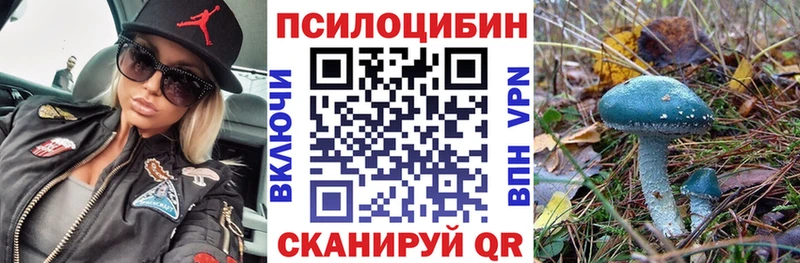 Псилоцибиновые грибы Psilocybe  Тверь 